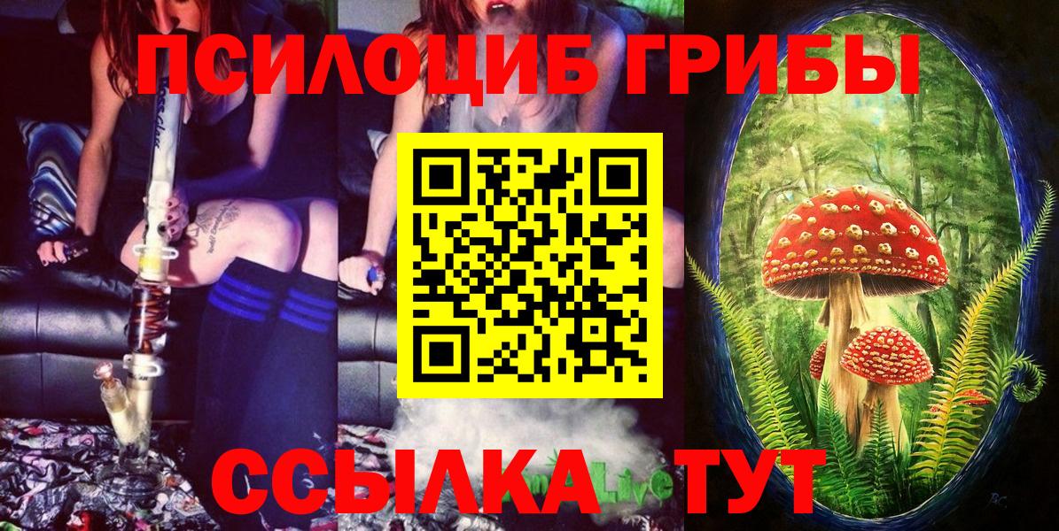 Чайковский  Псилоцибиновые грибы мухоморы  Вход с VPN 