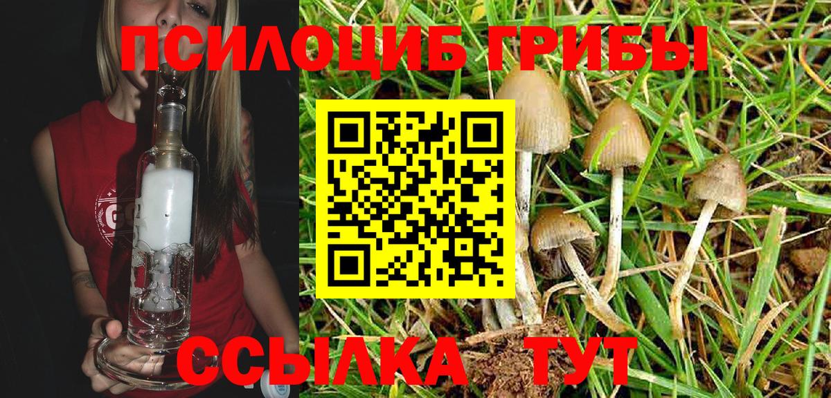 Псилоцибиновые грибы мухоморы  Галлюциногенные грибы прущие грибы  Чайковский 